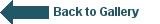 back%20to%20gallery-1.jpg
